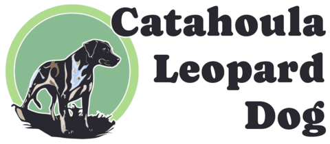 Catahoula Leopard Dog | An education resource for the breed standard.