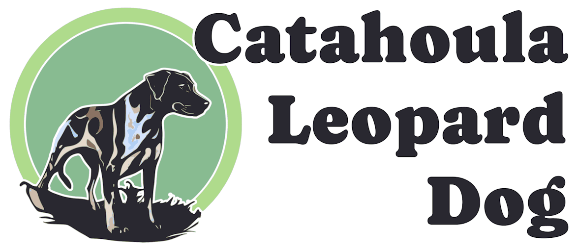 Catahoula Leopard Dog