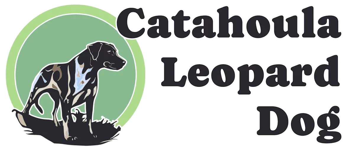 Catahoula Leopard Dog